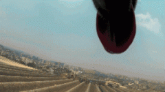 請你放過狗狗，不愛，但請別傷害！