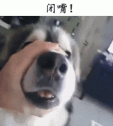 自從養了狗，撿屎官們就多了這些口頭禪……