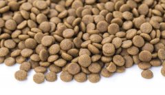 狗糧貓糧怎么儲存，華興寵物食品提示您